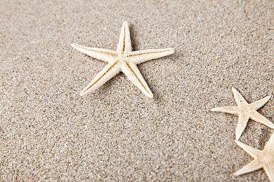 类8号出口心理恐怖游戏《新干线0号》登陆Steam平台